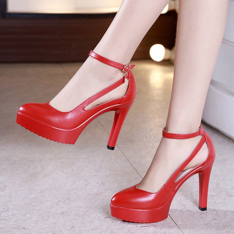 Women's Pointed Toe Shoes ,Wedding Shoes, Stiletto High Heels Pumps