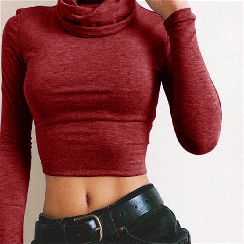 Women's Turtle Neck Crop Top